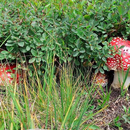 Le Balze Di Carisolo, Trilocale Con Giardino Apartment ภายนอก รูปภาพ